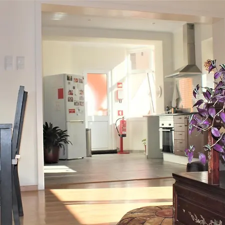 Olivia House Apartment *